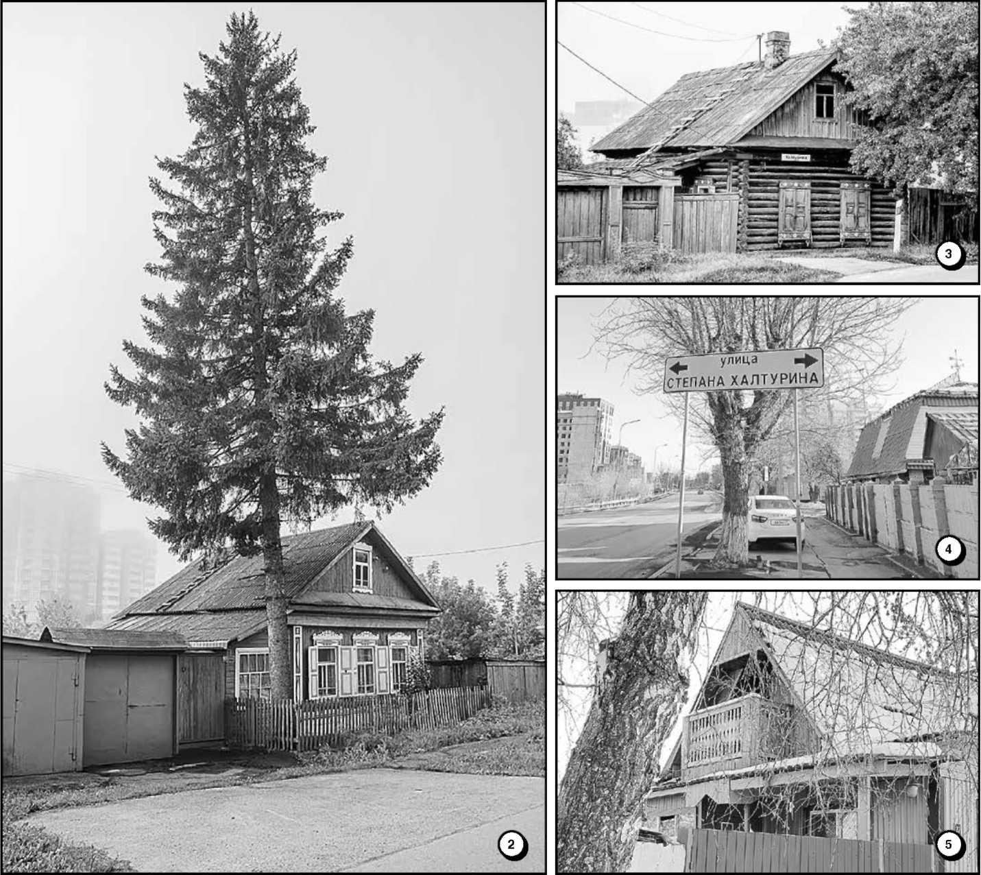 Елизавета Ганопольская