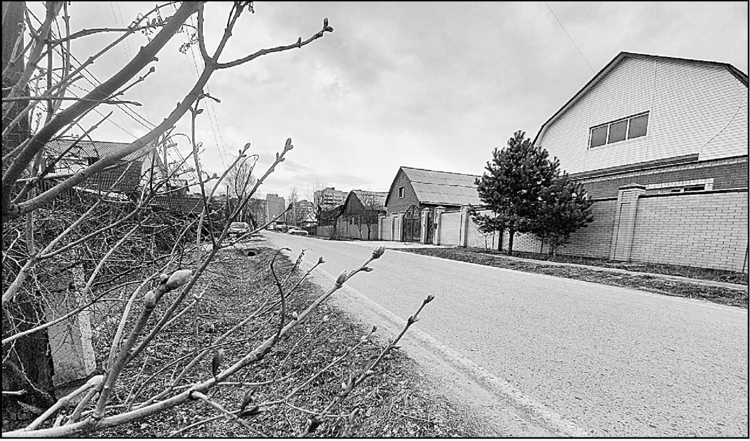 Фото РУВИКИ.РУ и Юлии Кононовой