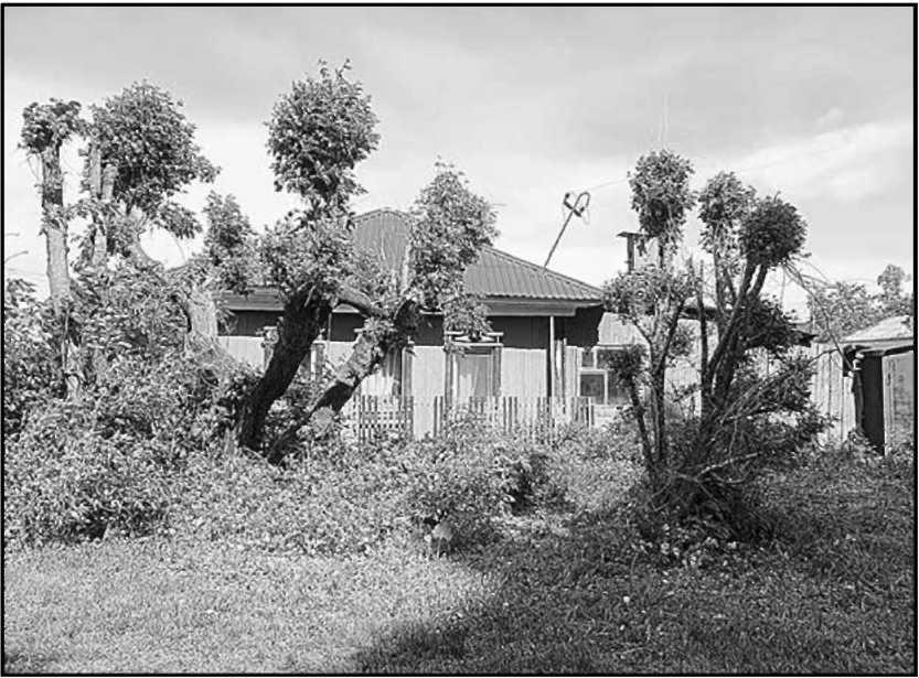 Юлия Кононова