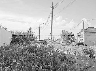 Юлия Киви и из личного архива