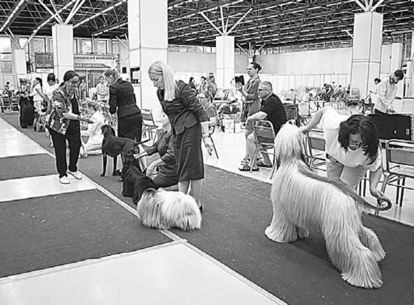 Галина Женихова и Инна Бардакова