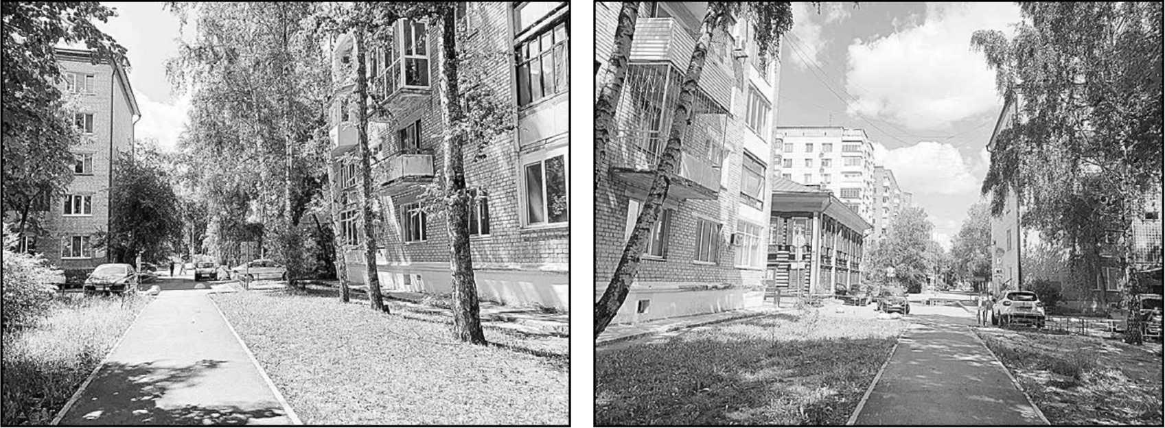 Юлия Кононова