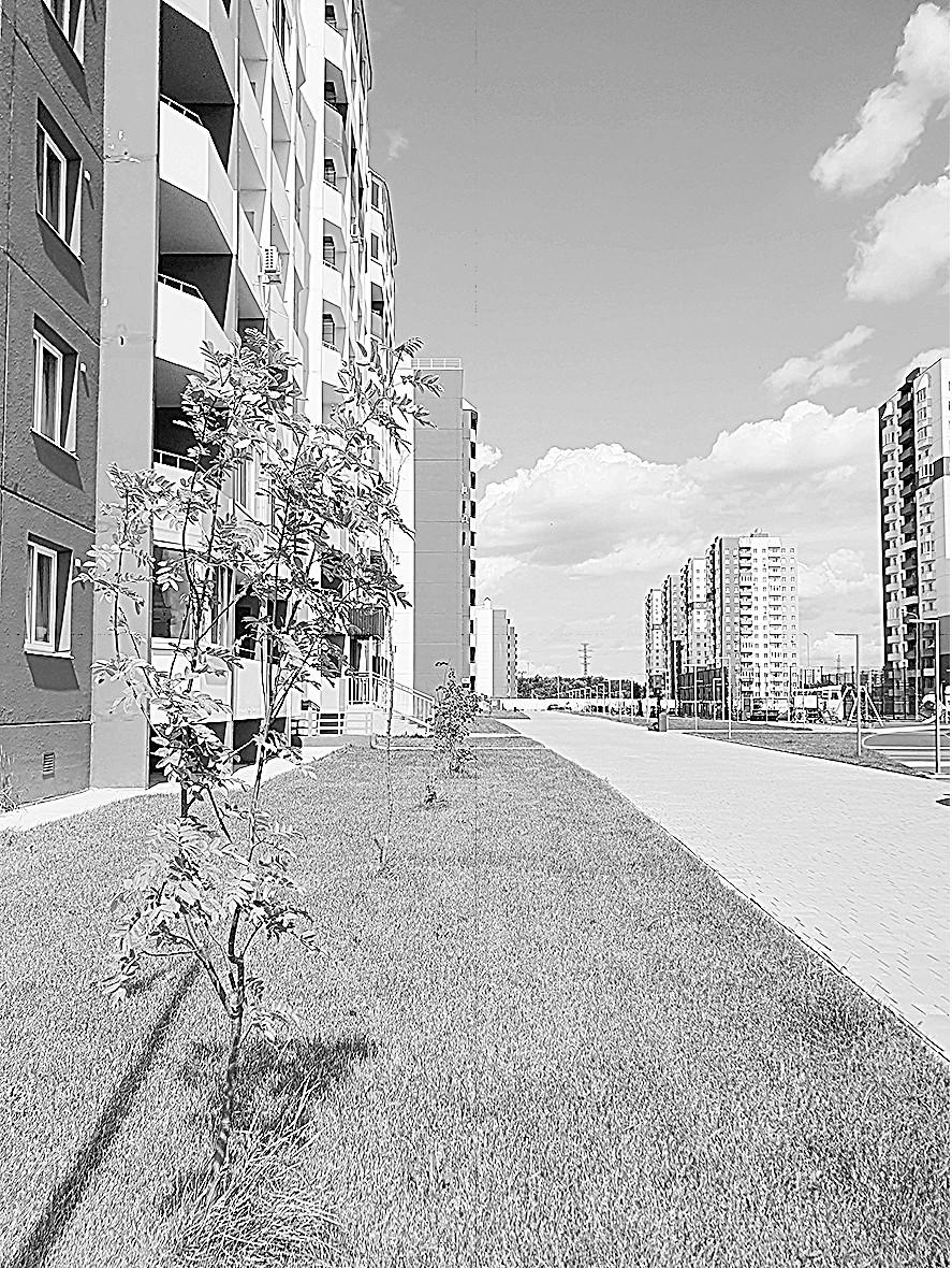 Юлия Кононова