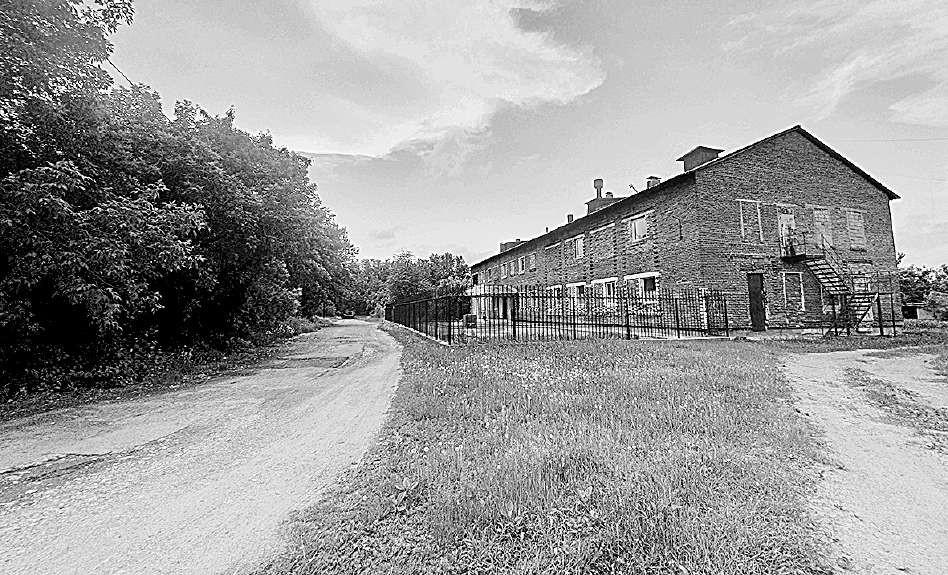 Улица Шебалдина, 2025 год.