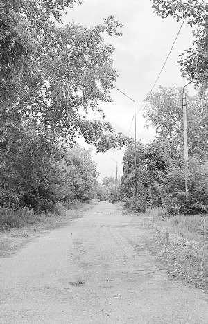 Улица Шебалдина, 2025 год.