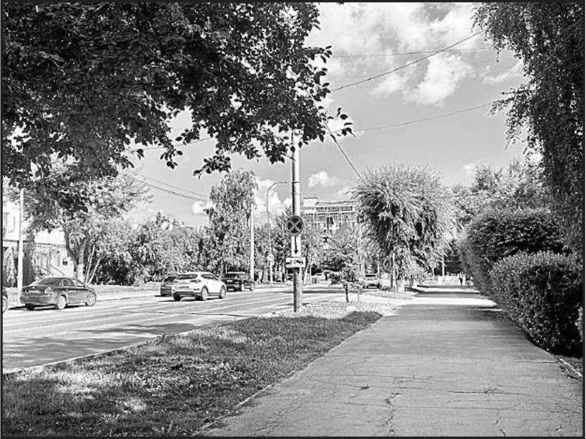 Кристина Сенцова