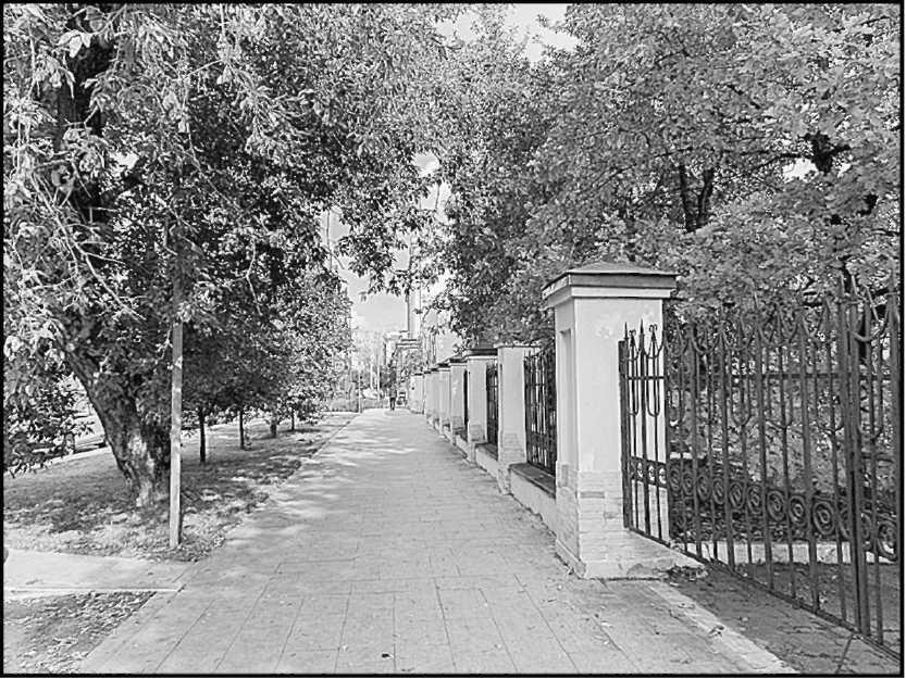 Юлия Кононова