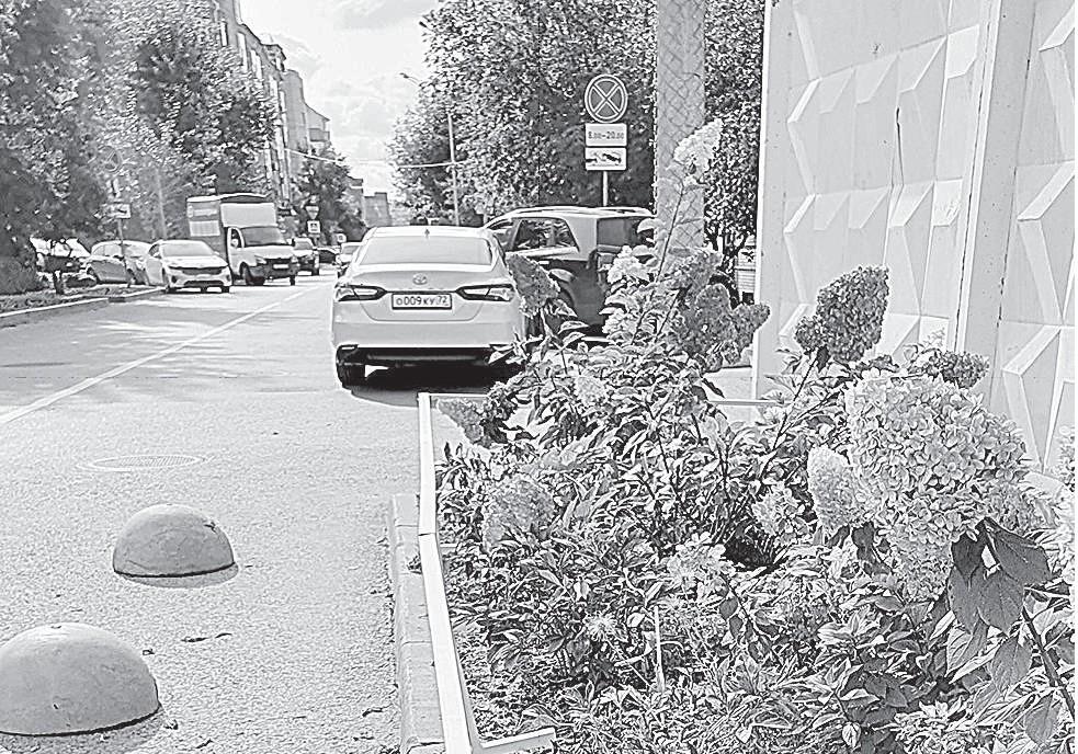 Юлия Кононова