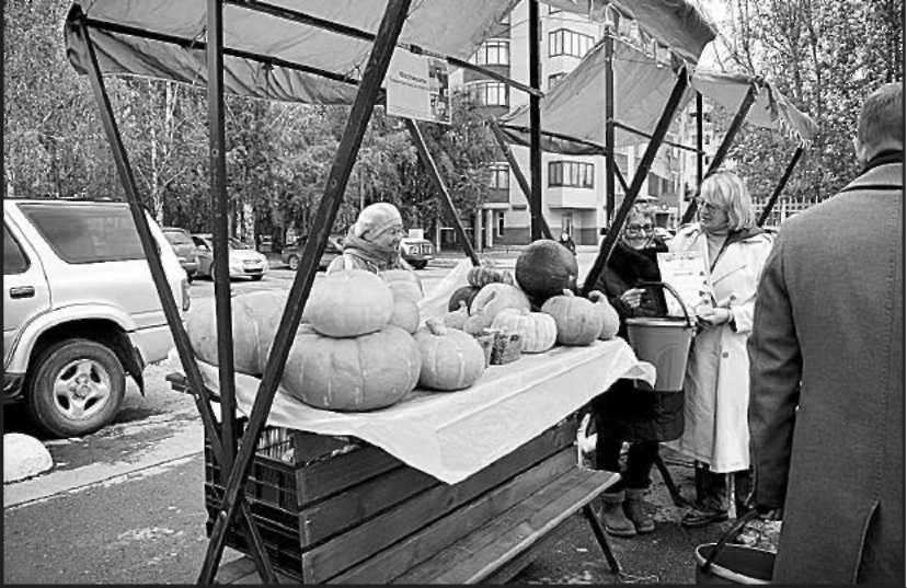 Инна Бардакова