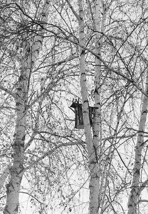 Улица Лермонтова в Зареке