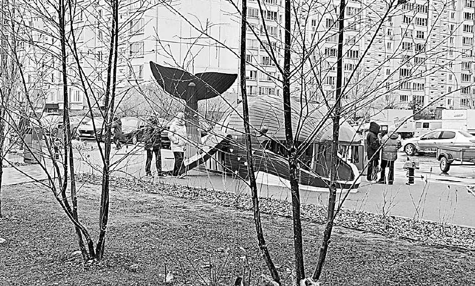 Наталья Дорофеева