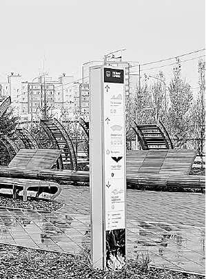 Наталья Дорофеева