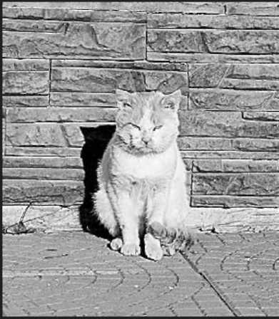 Ольга Игнатова