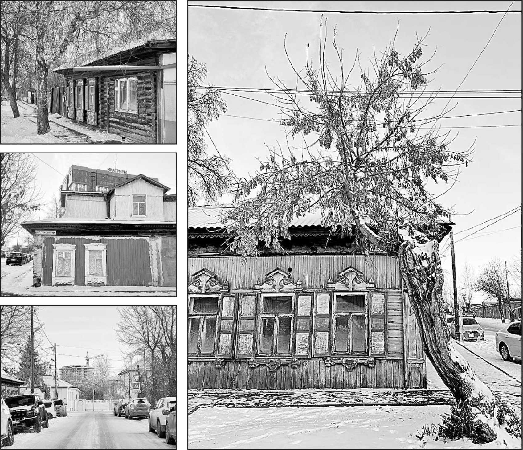 Кристина Сенцова