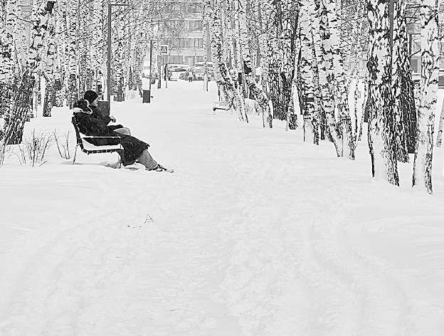 В Домашнем сквере.