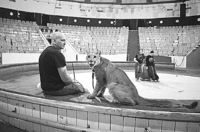 Инна Бардакова