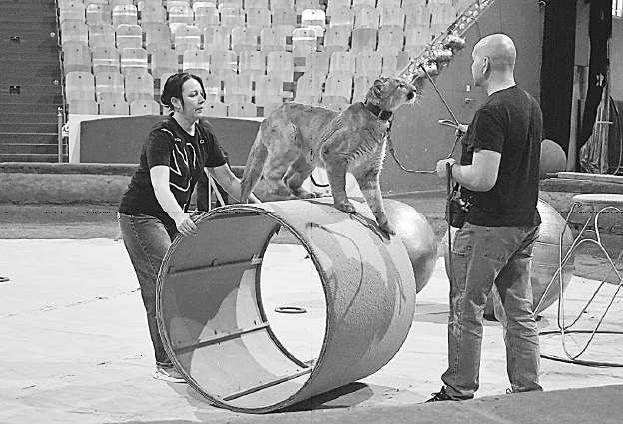 Инна Бардакова