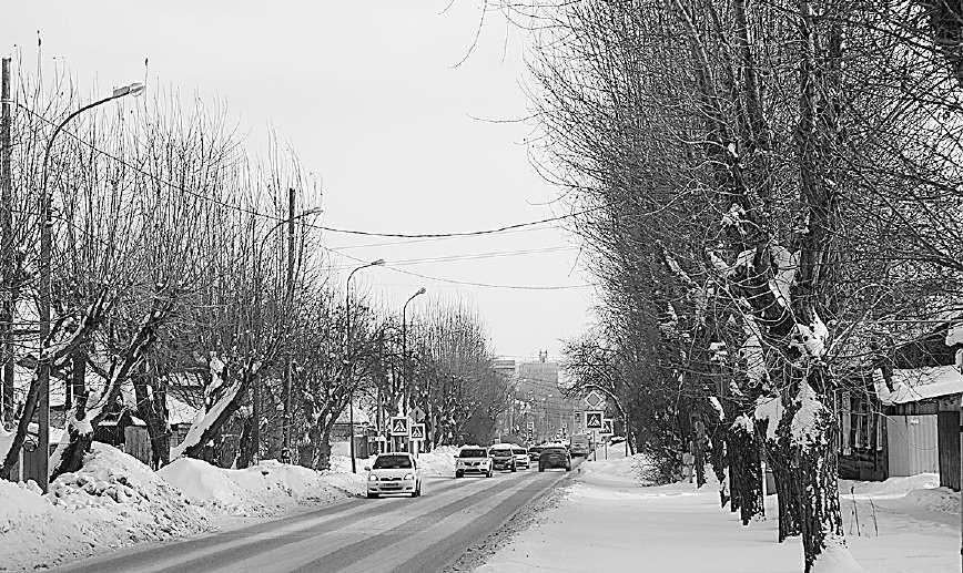 На улице Пархоменко в Тюмени.