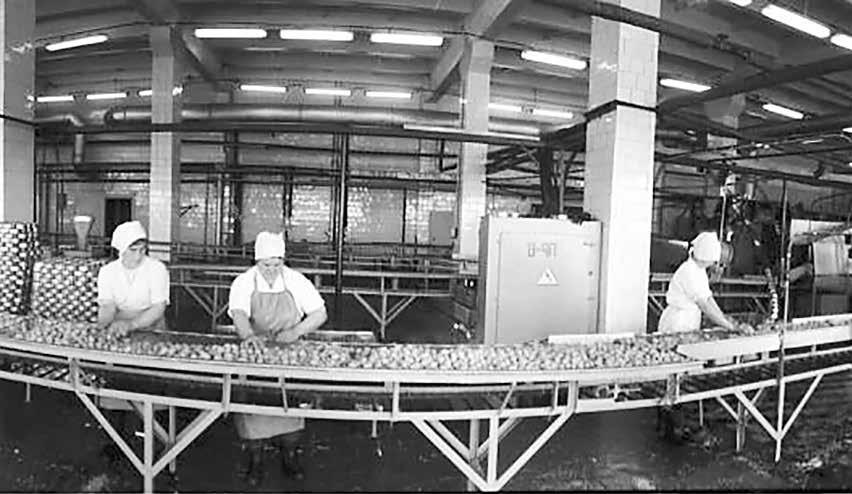 Пряничный цех Тюменского хлебокомбината, 1997-й год. Фото Андрея Свинкина (из фондов музейного комплекса имени Словцова)