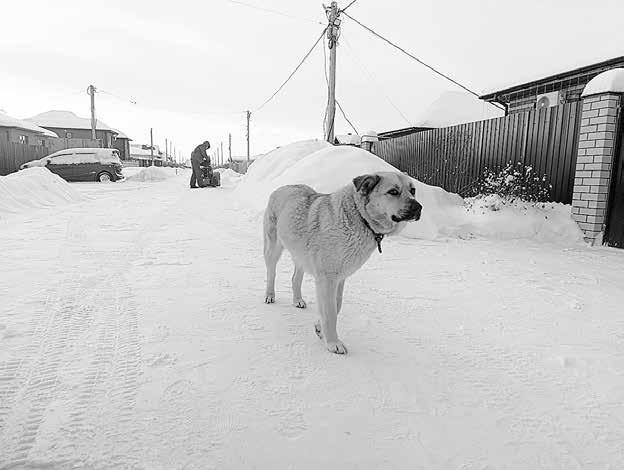 Бахчисарайский проезд.