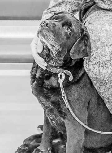 Ольга Игнатова