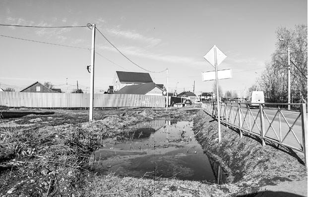 Инна Бардакова