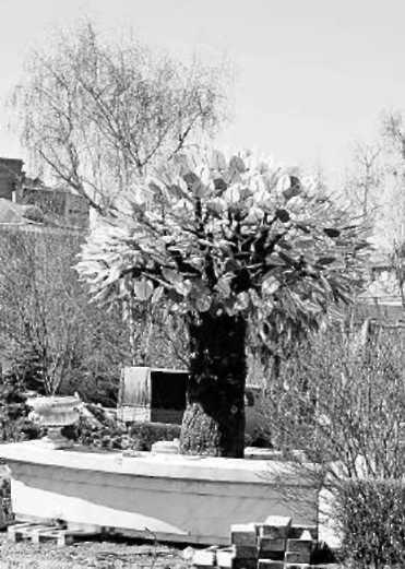 Инна Бардакова