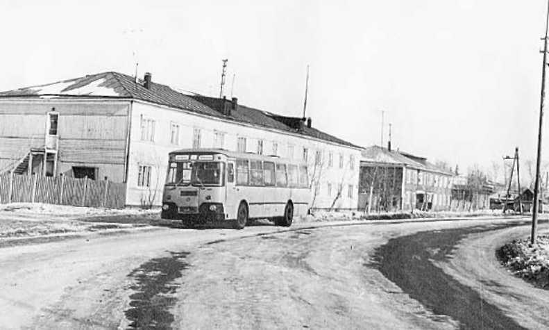 На улице Курчатова. Фото из архива Елены Заровнятных